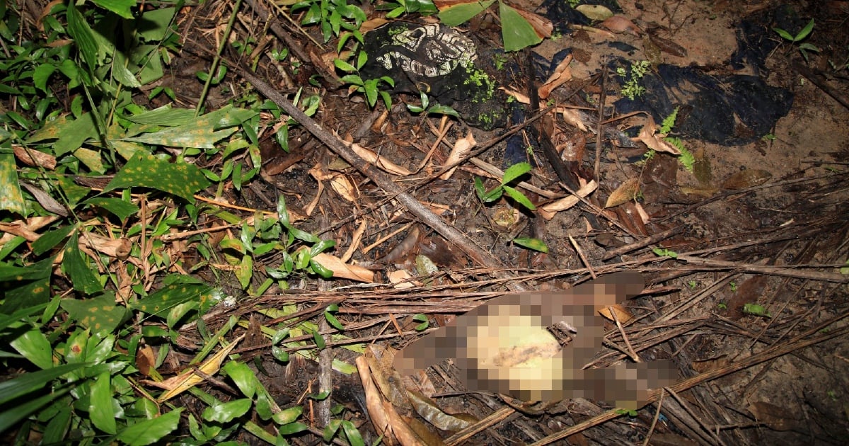 Skeletal remains found in Bera believed to be those of man reported missing last July