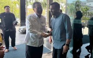 Solution for parallel pathway specialists by mid-May, says senator