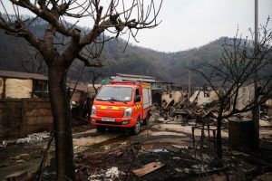 South Korea's deadly fires made twice as likely by climate change, researchers say
