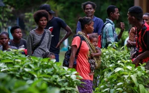 Speak to Orang Asli in Bidor yourself, Perak MB urged