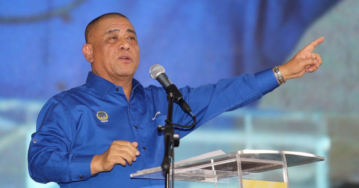 Stray cows on roads? Perak MB says: 'Use the grazing fields'