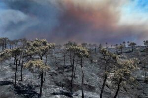 Syria fights fires for fourth day as Jordan sends help