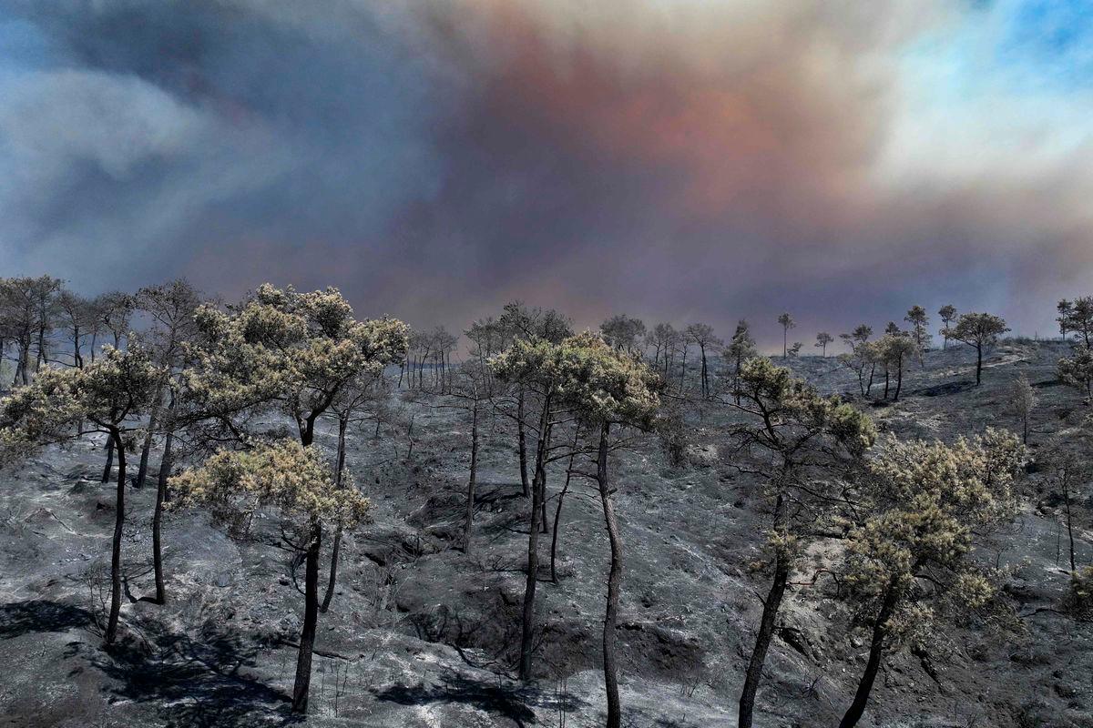 Syria fights fires for fourth day as Jordan sends help