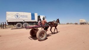 UN agencies for food, refugees plan deep cuts as funding plummets, documents show