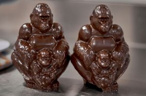 War-hit Congo park turns to chocolate gorillas in conservation push