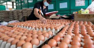 egg subsidy halved from May 1, ends August